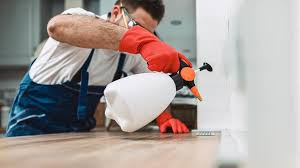 Best Pest Control for Multi-Family Homes  in Ranlo, NC